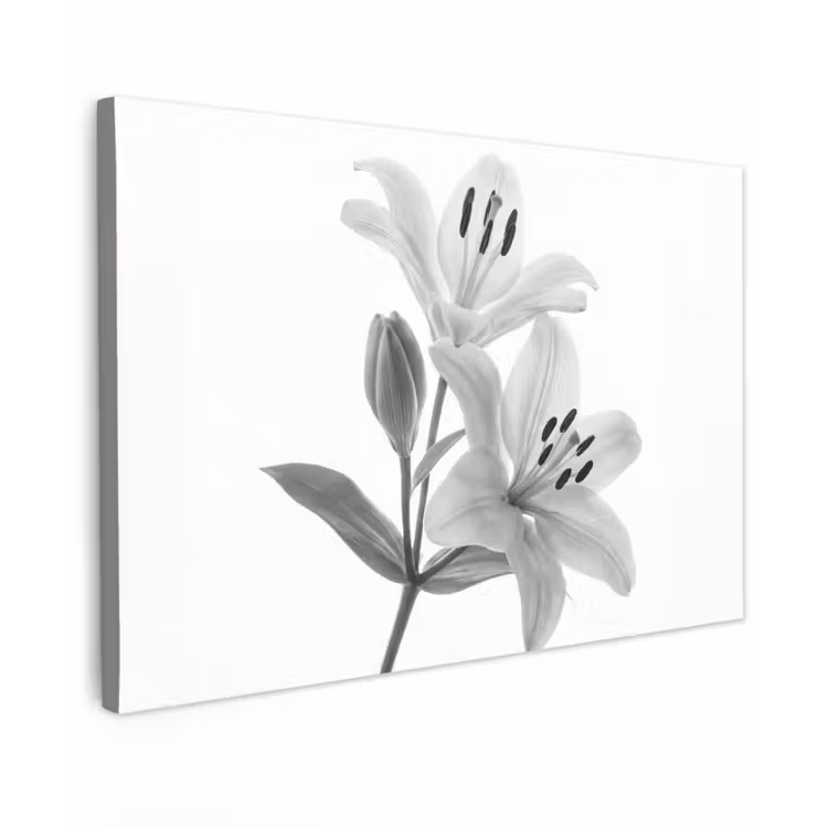 Lelies - Elegant - Zwart - Wit Tuinposter op houten frame 2 cm dik klein -3d