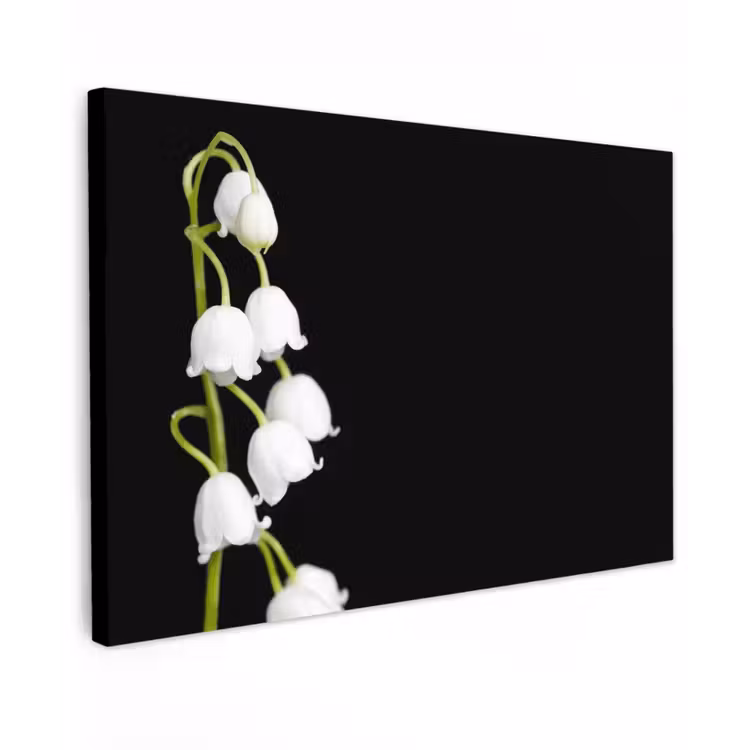 Lelietjes van dalen - Bloemen - Zwart - Flora Tuinposter op houten frame 2 cm dik klein -3d