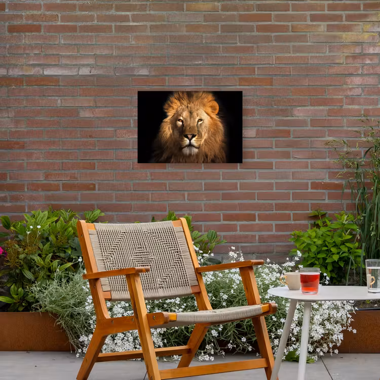 Leeuw in het avondlicht Tuinposter op houten frame 2 cm dik klein -sfeer3