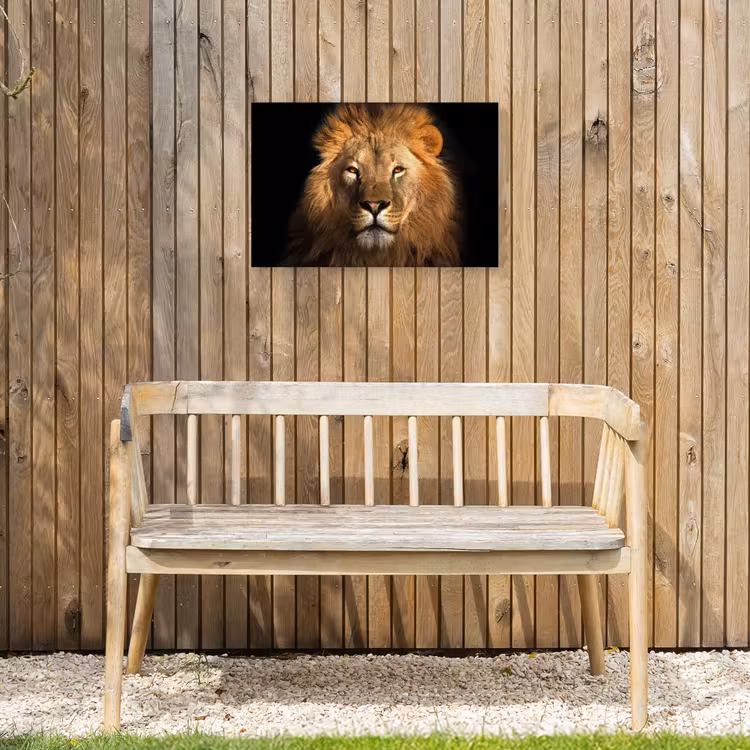 Leeuw in het avondlicht Tuinposter op houten frame 2 cm dik klein -sfeer4