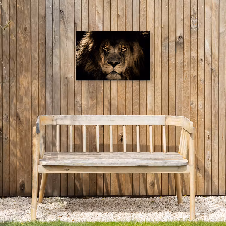 Leeuw in het schaduwlicht Tuinposter op houten frame 2 cm dik klein -sfeer4