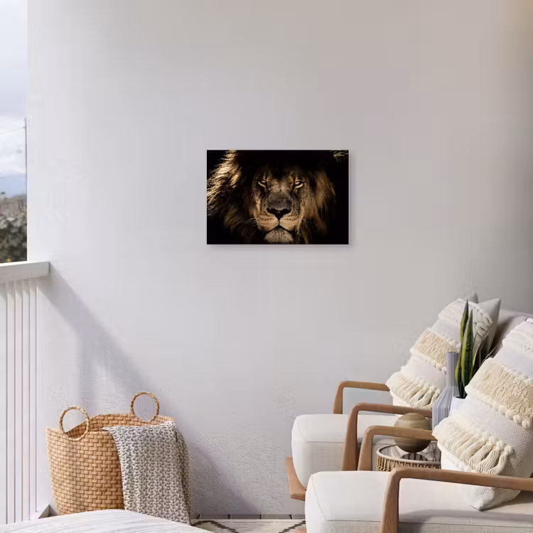 Leeuw in het schaduwlicht Tuinposter op houten frame 2 cm dik klein -sfeer1