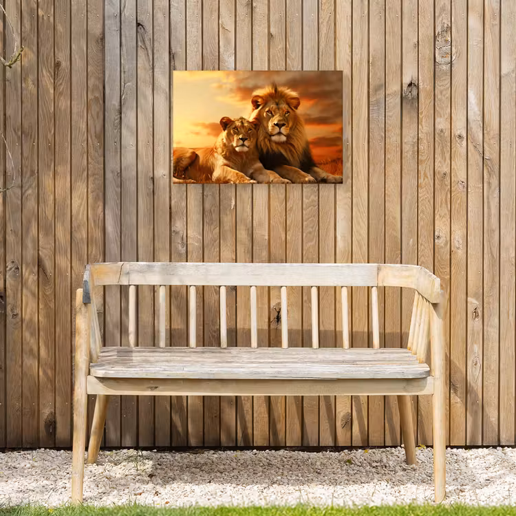 Leeuwenpaar bij zonsondergang Tuinposter op houten frame 2 cm dik klein -sfeer4
