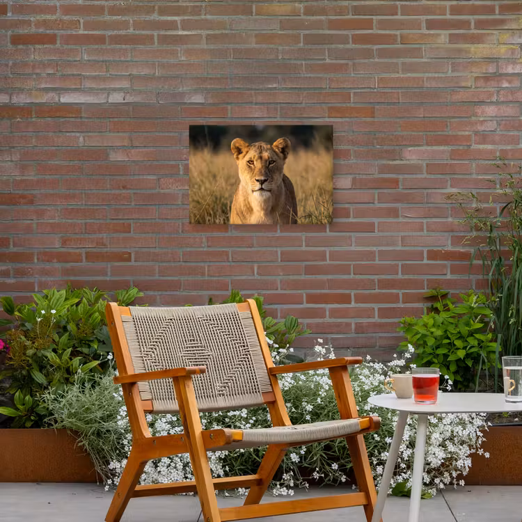 Leeuwin - Gras - Geel Tuinposter op houten frame 2 cm dik klein -sfeer3