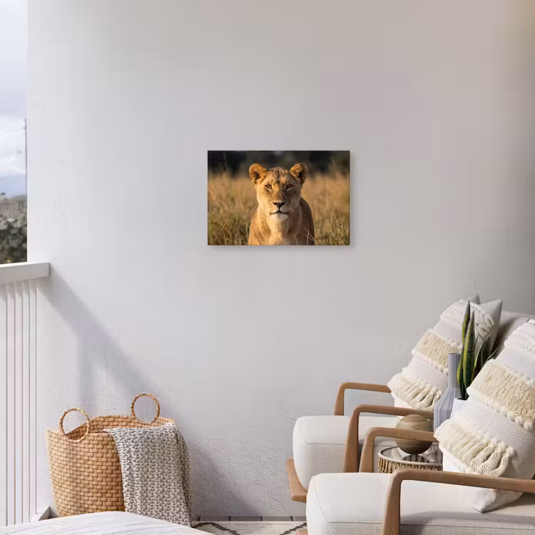 Leeuwin - Gras - Geel Tuinposter op houten frame 2 cm dik klein -sfeer1