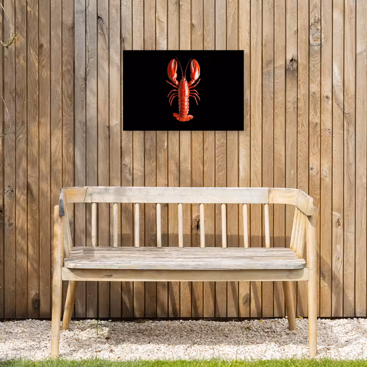 Kreeft - Glossier Rood - Zwart Tuinposter op houten frame 2 cm dik klein -sfeer4