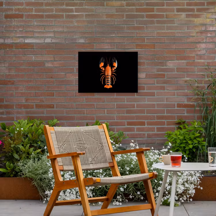 Kreeft - Oranje - Zwart - Modern Tuinposter op houten frame 2 cm dik klein -sfeer3