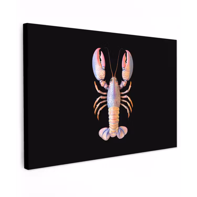 Kreeft - Roze - Zacht - Zwart Tuinposter op houten frame 2 cm dik klein -3d