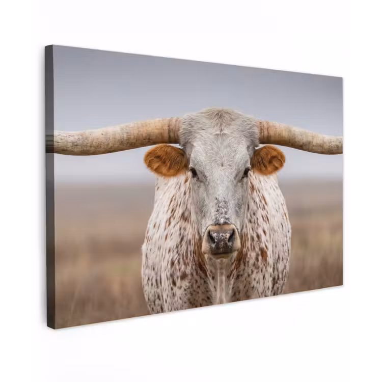 Longhorn - Grasveld - Dier Tuinposter op houten frame 2 cm dik klein -3d