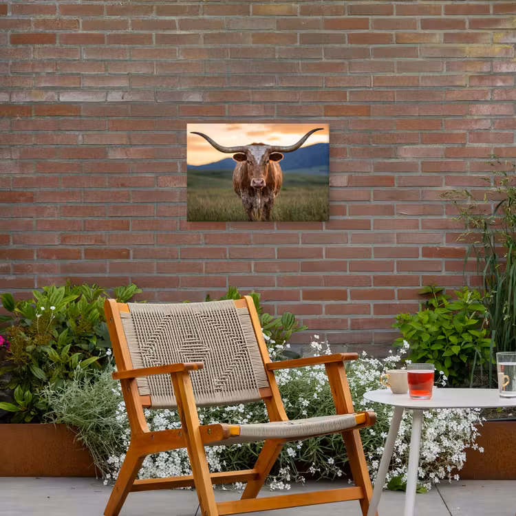 Longhorn - Landschap - Zonsondergang Tuinposter op houten frame 2 cm dik klein -sfeer3