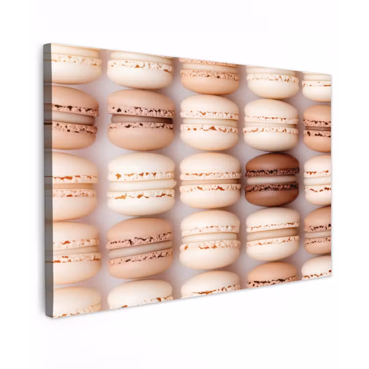 Macarons - Beige - Bruin Tuinposter op houten frame 2 cm dik klein -3d