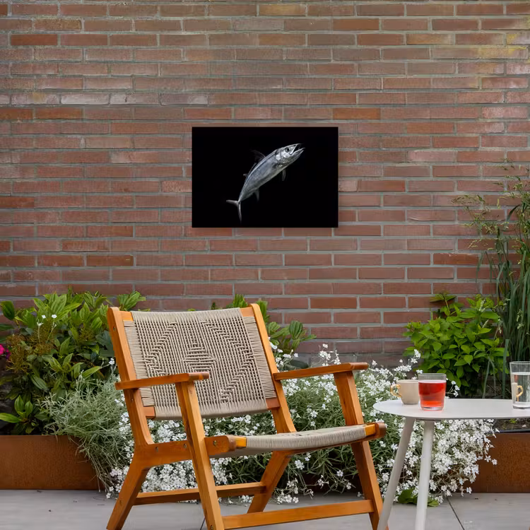Makreel - Vis - Zwart Tuinposter op houten frame 2 cm dik klein -sfeer3