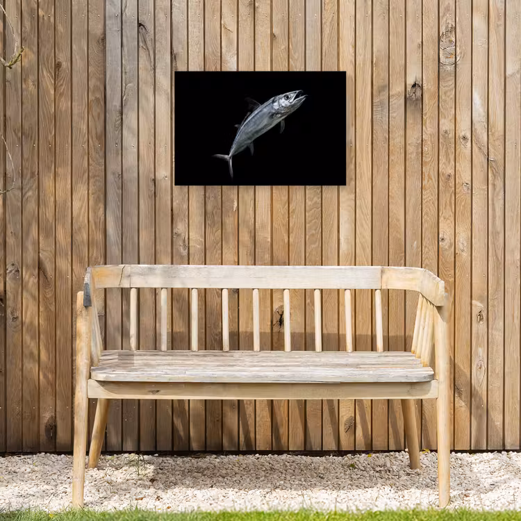 Makreel - Vis - Zwart Tuinposter op houten frame 2 cm dik klein -sfeer4