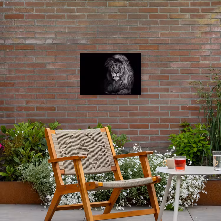Majestueuze leeuw in de duisternis Tuinposter op houten frame 2 cm dik klein -sfeer3
