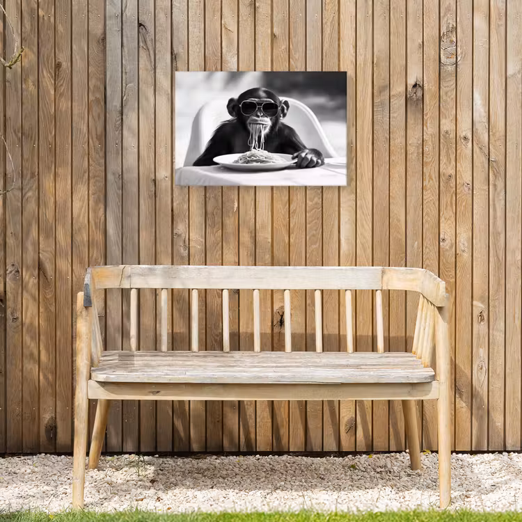 Aap - Spaghetti - Zonnebril - Zwart wit - Cool - Dier Tuinposter op houten frame 2 cm dik klein -sfeer4