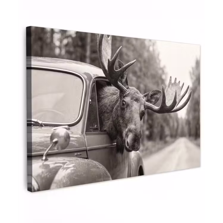 Eland - Auto - Gewei - Zwart - Wit Tuinposter op houten frame 2 cm dik klein -3d
