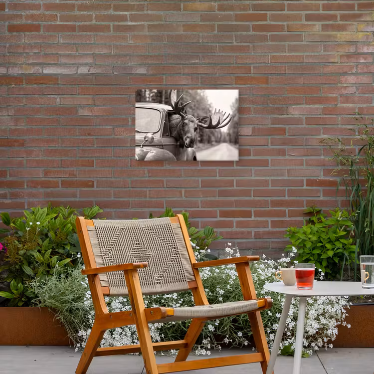 Eland - Auto - Gewei - Zwart - Wit Tuinposter op houten frame 2 cm dik klein -sfeer3