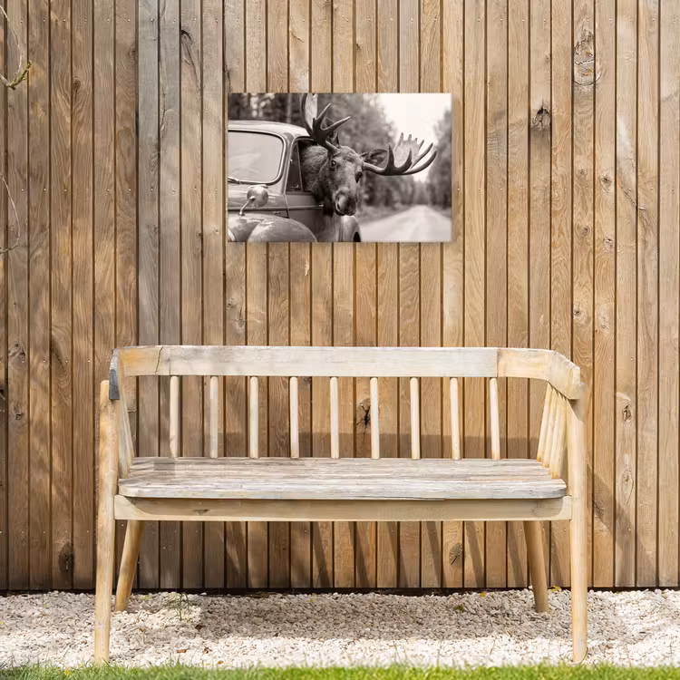 Eland - Auto - Gewei - Zwart - Wit Tuinposter op houten frame 2 cm dik klein -sfeer4