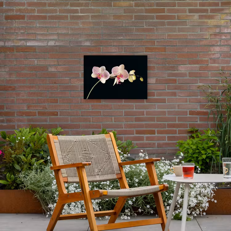 Orchidee - Bloemen - Zwart - Roze - Knoppen Tuinposter op houten frame 2 cm dik klein -sfeer3