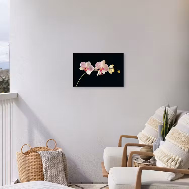 Orchidee - Bloemen - Zwart - Roze - Knoppen Tuinposter op houten frame 2 cm dik klein -sfeer1