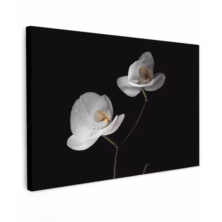 Orchidee - Bloemen - Zwart - Wit - Stilleven Tuinposter op houten frame 2 cm dik klein -3d