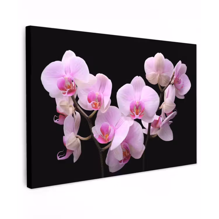 Orchidee - Bloemen - Roze - Flora Tuinposter op houten frame 2 cm dik klein -3d