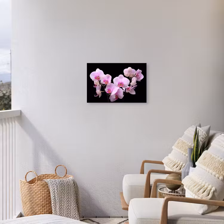 Orchidee - Bloemen - Roze - Flora Tuinposter op houten frame 2 cm dik klein -sfeer1