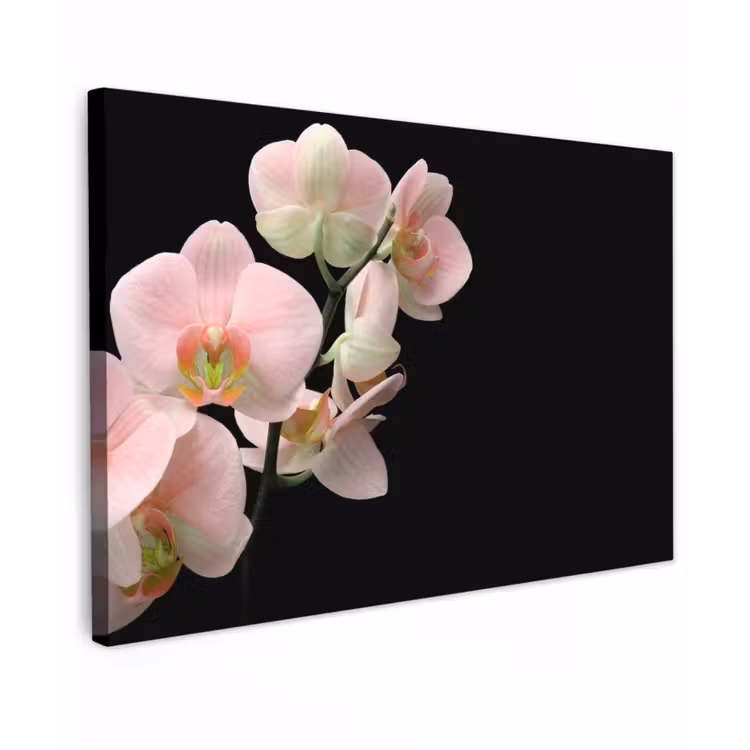 Orchidee - Bloemen - Roze - Stilleven - Flora Tuinposter op houten frame 2 cm dik klein -3d