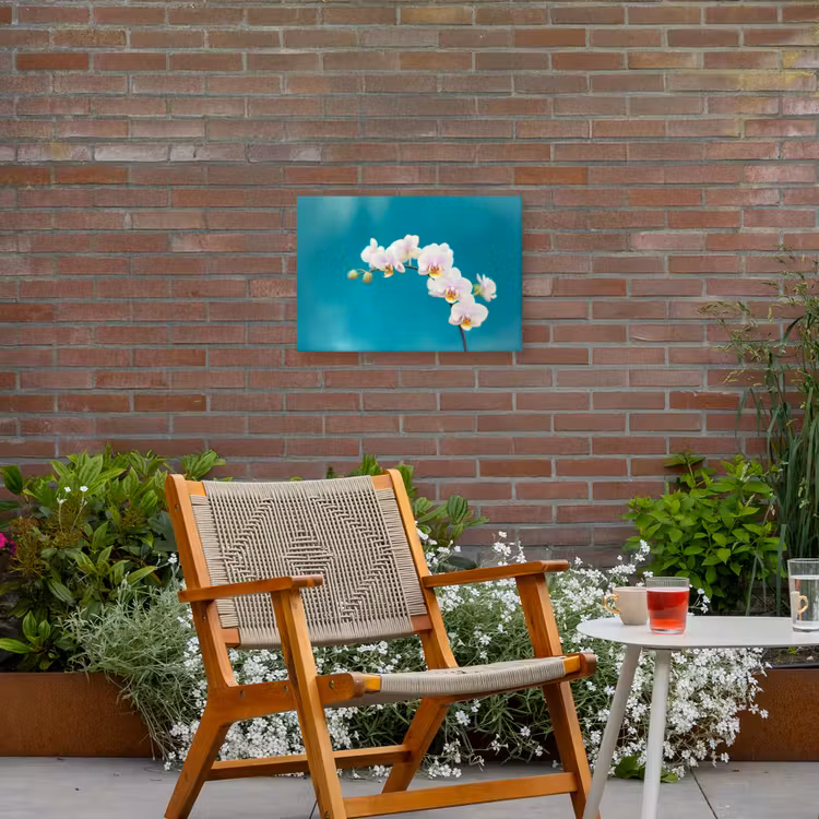 Orchidee - Bloemen - Plant - Wit - Paars Tuinposter op houten frame 2 cm dik klein -sfeer3