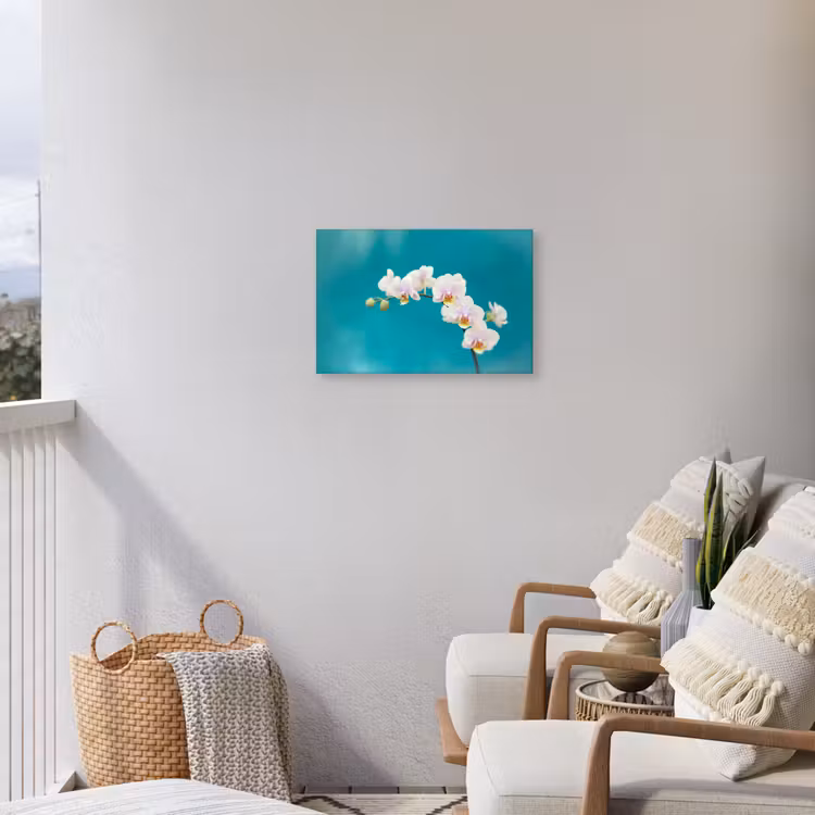 Orchidee - Bloemen - Plant - Wit - Paars Tuinposter op houten frame 2 cm dik klein -sfeer1