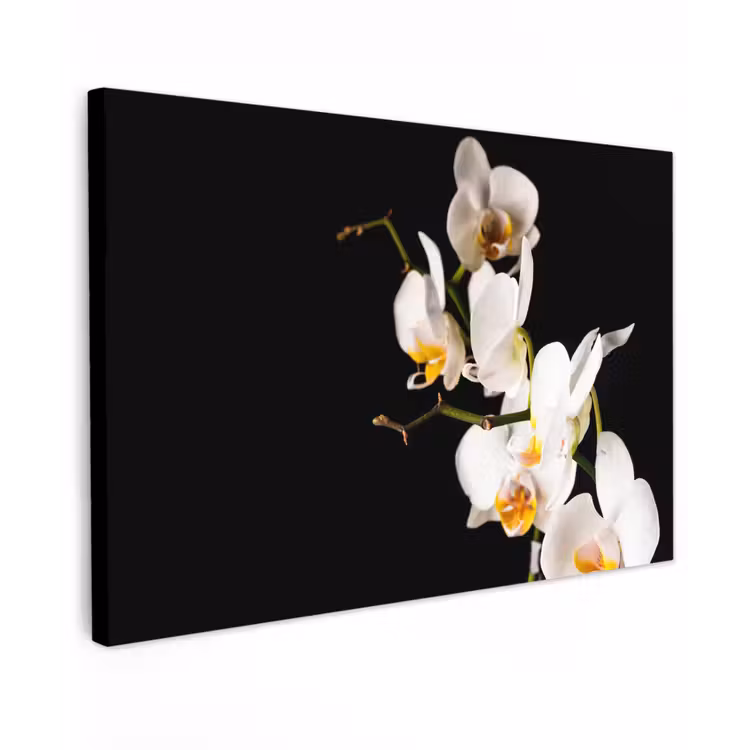 Orchidee - Bloemen - Planten - Botanisch Tuinposter op houten frame 2 cm dik klein -3d