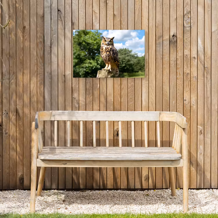 Uil - Boomstronk - Bos - Lucht Tuinposter op houten frame 2 cm dik klein -sfeer4