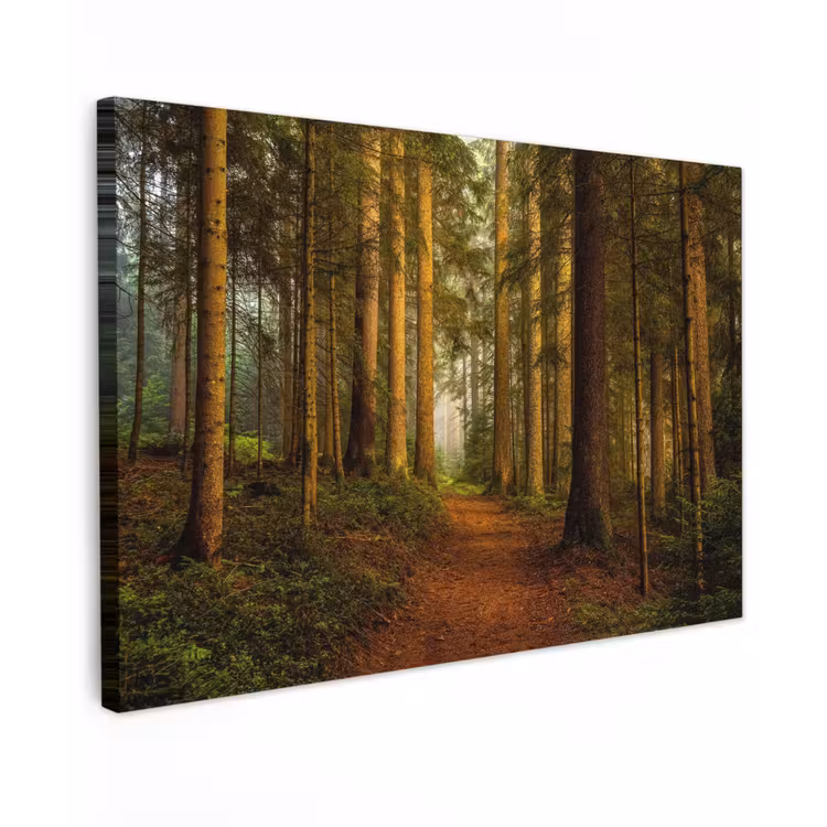 Pad door majestueus dennenbos Tuinposter op houten frame 2 cm dik klein -3d