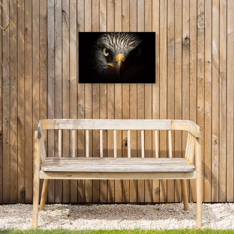 Indringende blik van een arend Tuinposter op houten frame 2 cm dik klein -sfeer4