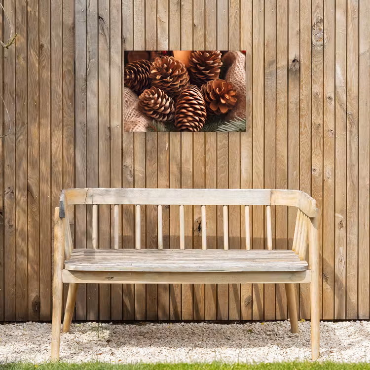 Dennenappels - Boom - Winter - Natuur - Bruin Tuinposter op houten frame 2 cm dik klein -sfeer4
