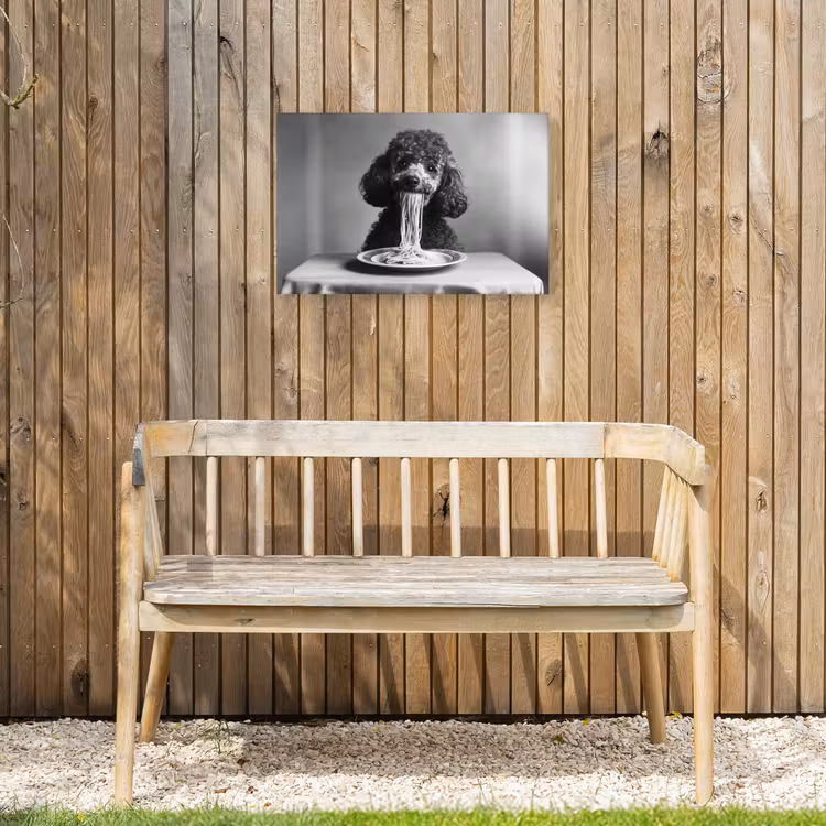 Poedel - Hond - Zwart - Wit - Schattig - Pasta Tuinposter op houten frame 2 cm dik klein -sfeer4