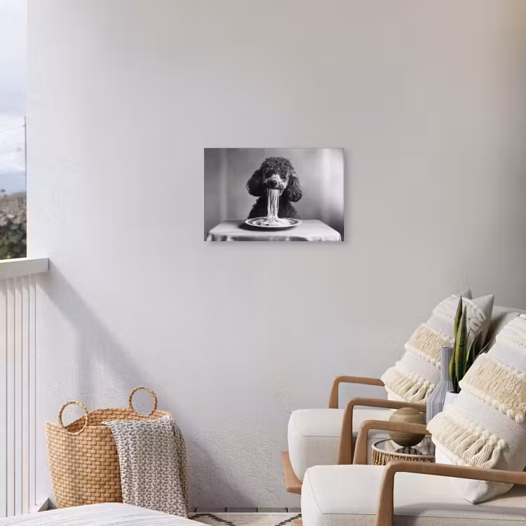 Poedel - Hond - Zwart - Wit - Schattig - Pasta Tuinposter op houten frame 2 cm dik klein -sfeer1