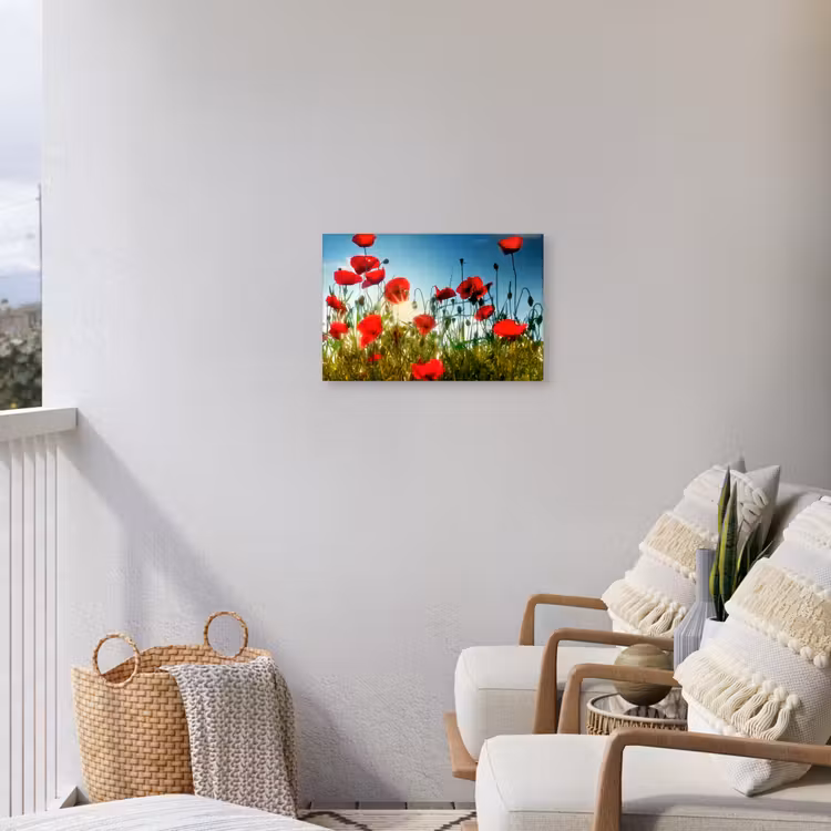 Klaprozen - Toscane - Zon - Rood - Blauw Tuinposter op houten frame 2 cm dik klein -sfeer1