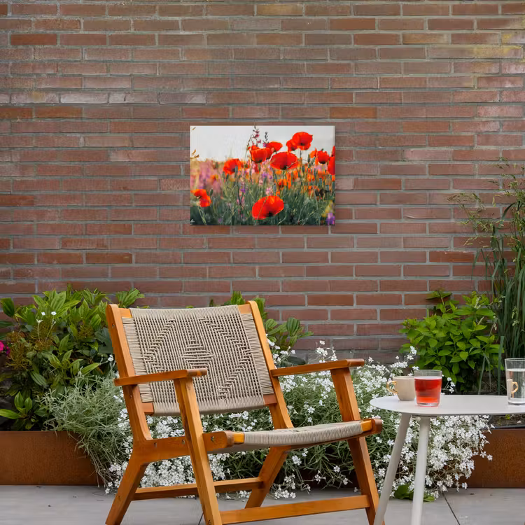 Klaproos - Bloemen - Rood - Paars - Weide Tuinposter op houten frame 2 cm dik klein -sfeer3
