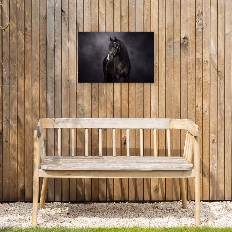 Portret - Paard - Zwart Tuinposter op houten frame 2 cm dik klein -sfeer4
