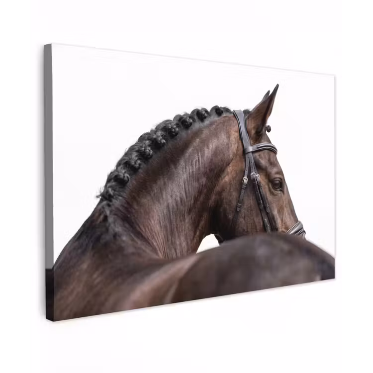 Portret - Paard - Elegant Tuinposter op houten frame 2 cm dik klein -3d