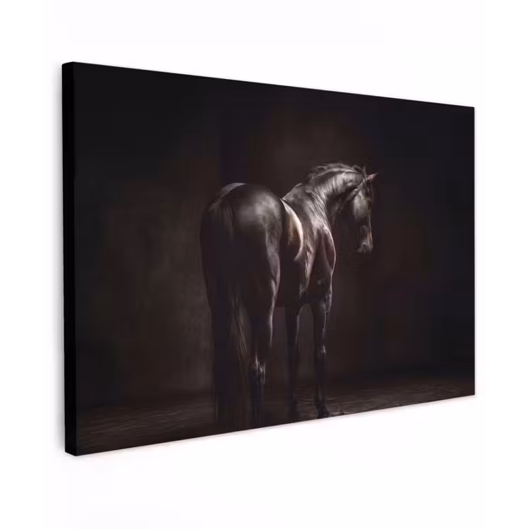 Krachtig - Paard - Donker Tuinposter op houten frame 2 cm dik klein -3d