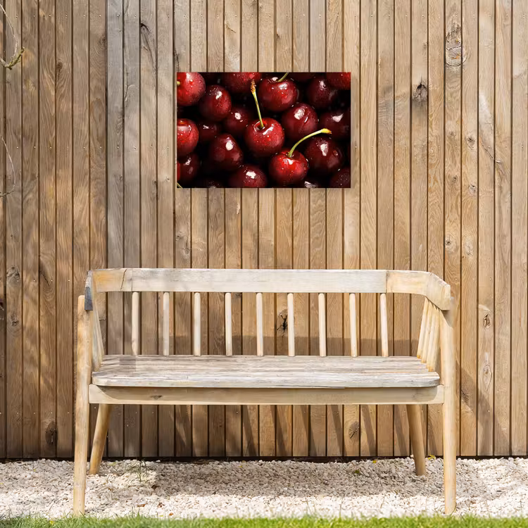 Rood - Fruit - Kersen Tuinposter op houten frame 2 cm dik klein -sfeer4