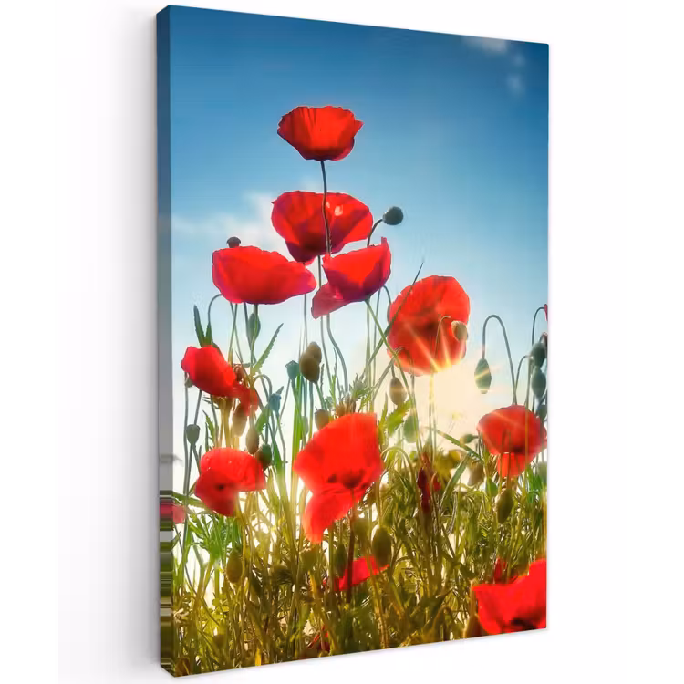 Rode klaprozen tegen de hemel Tuinposter op houten frame 2 cm dik klein -3d