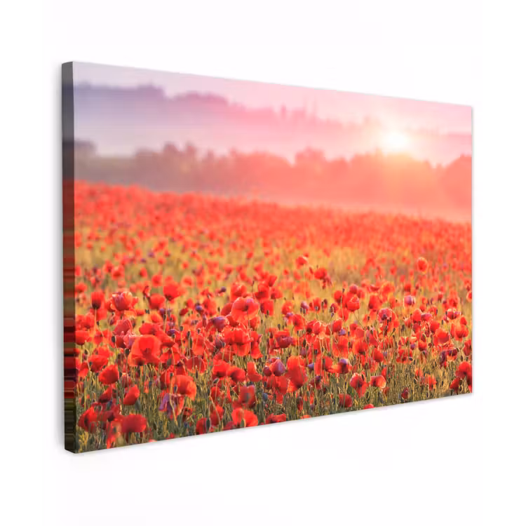 Rode klaprozen in de ochtendzon Tuinposter op houten frame 2 cm dik klein -3d
