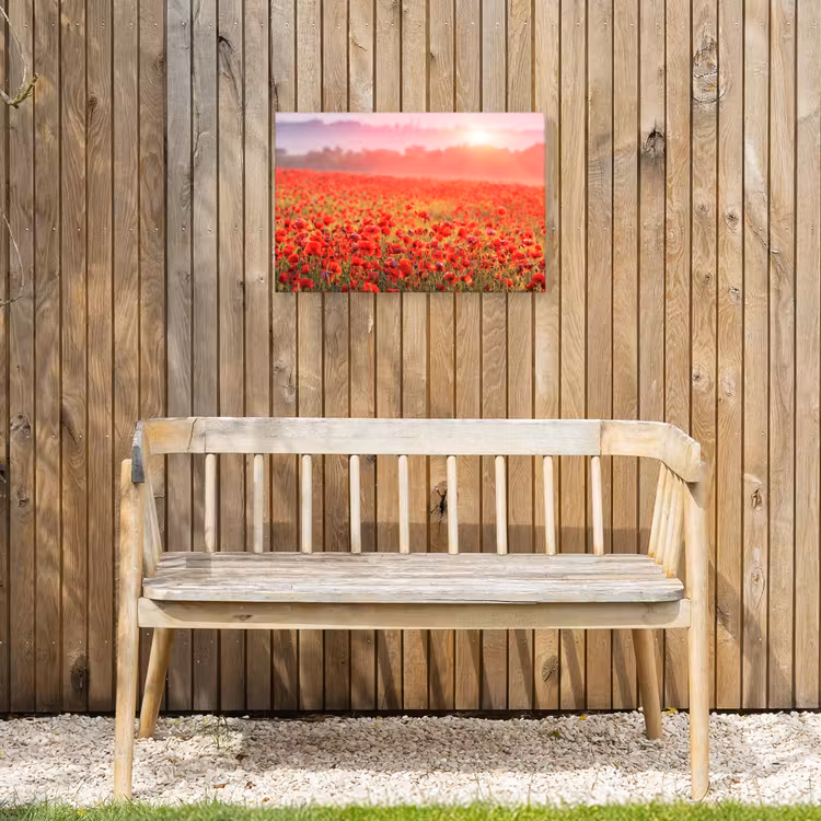 Rode klaprozen in de ochtendzon Tuinposter op houten frame 2 cm dik klein -sfeer4