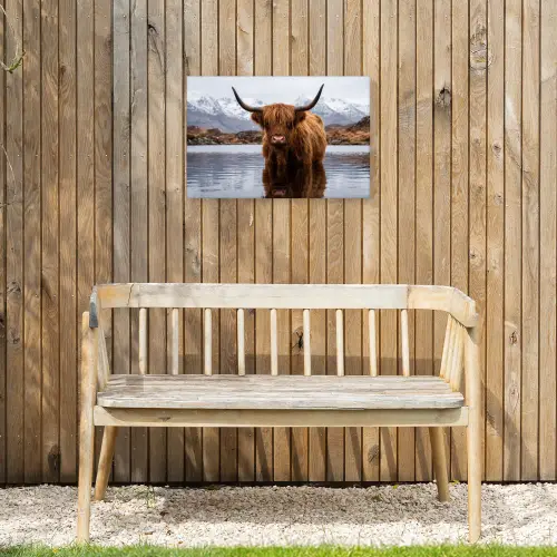 Schotse hooglander - Bruin - Water Tuinposter op houten frame 2 cm dik klein -sfeer4