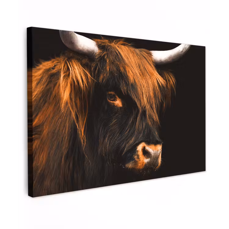 Schotse hooglander - Zwart - Koe - Hoorn - Dieren Tuinposter op houten frame 2 cm dik klein -3d