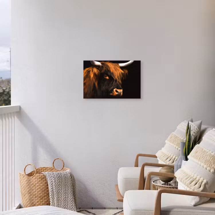Schotse hooglander - Zwart - Koe - Hoorn - Dieren Tuinposter op houten frame 2 cm dik klein -sfeer1