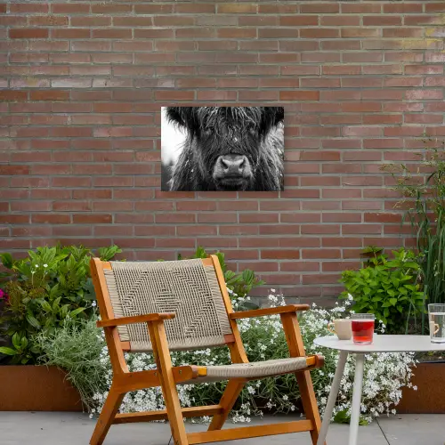 Schotse hooglander - Zwart - Wit - Sneeuwvlokken Tuinposter op houten frame 2 cm dik klein -sfeer3